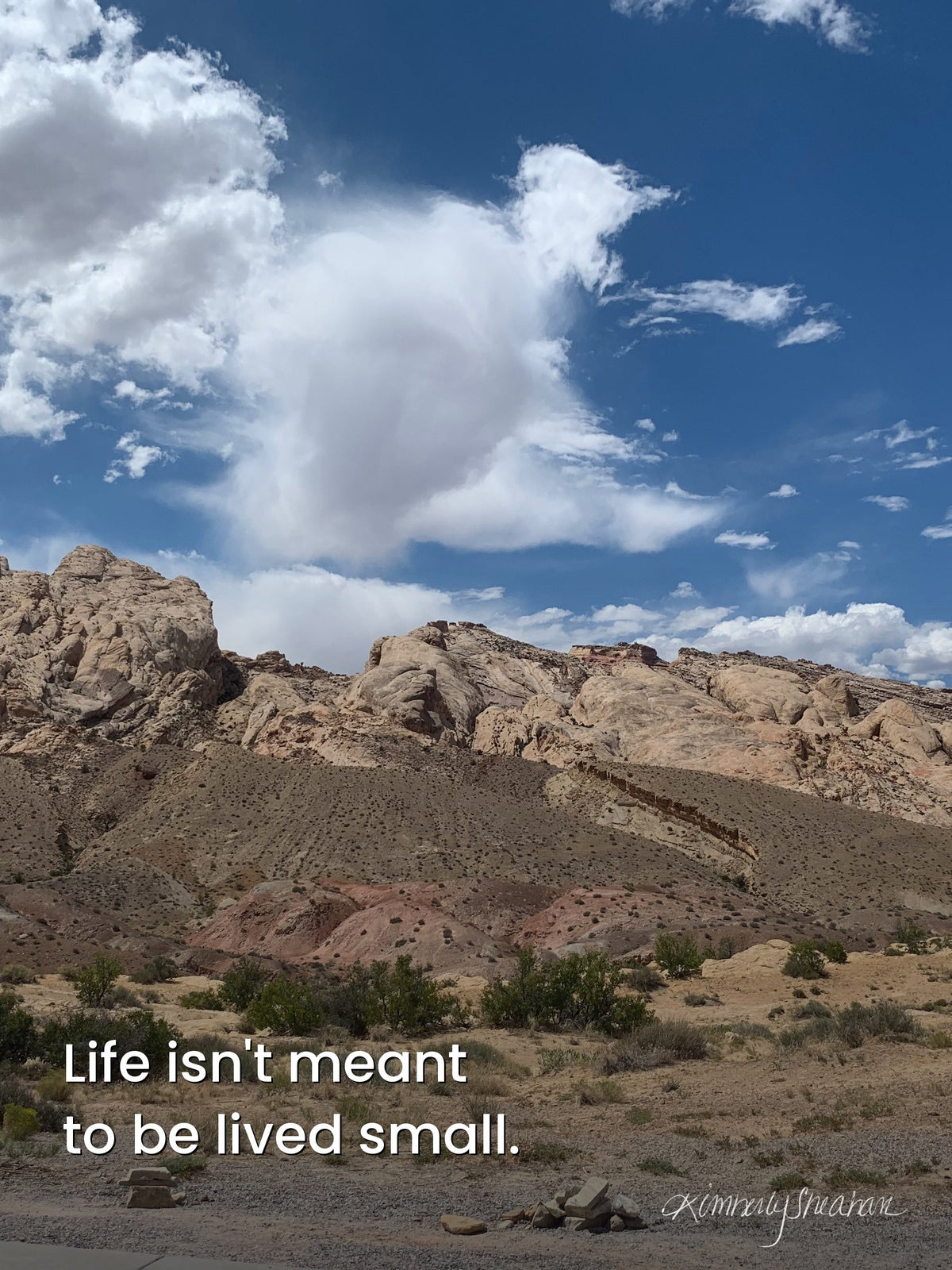 Rising Verse — Lived Small · Gallery Canvas