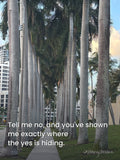 Rising Verse — Where The Yes Is Hiding · Magnet