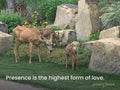 Presence is the highest form of love.