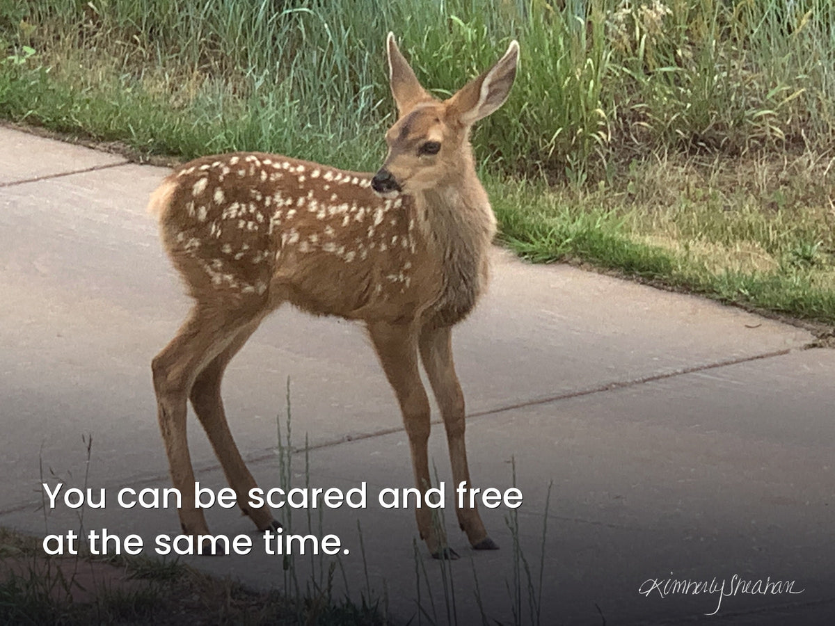 Rising Verse — Scared and Free · Gallery Canvas